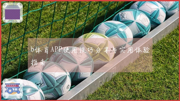 b体育APP使用技巧分享与实用体验指南