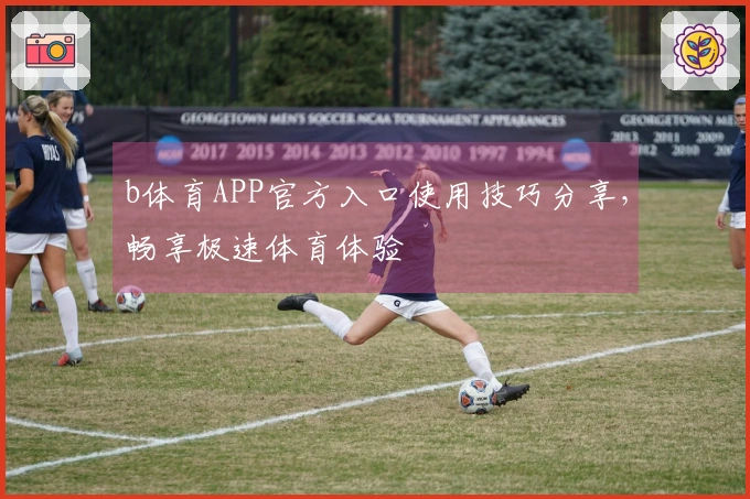 b体育APP官方入口使用技巧分享，畅享极速体育体验