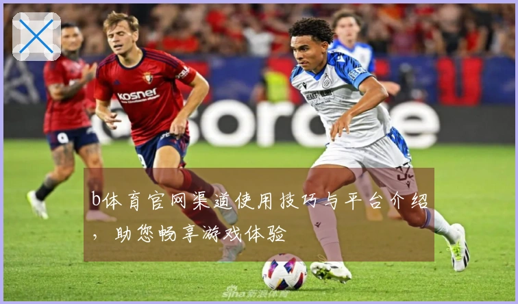 b体育官网渠道使用技巧与平台介绍，助您畅享游戏体验