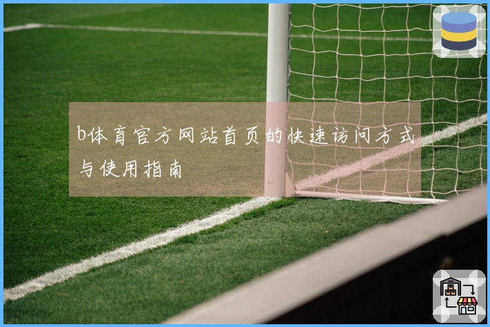 b体育官方网站首页的快速访问方式与使用指南