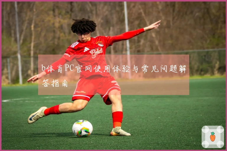 b体育PC官网使用体验与常见问题解答指南