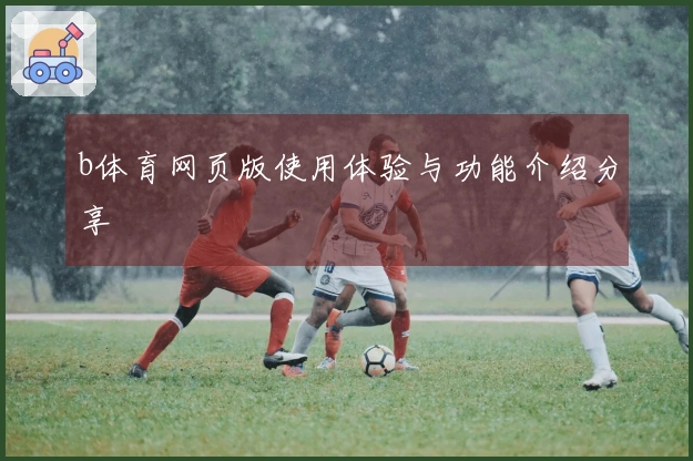 b体育网页版使用体验与功能介绍分享
