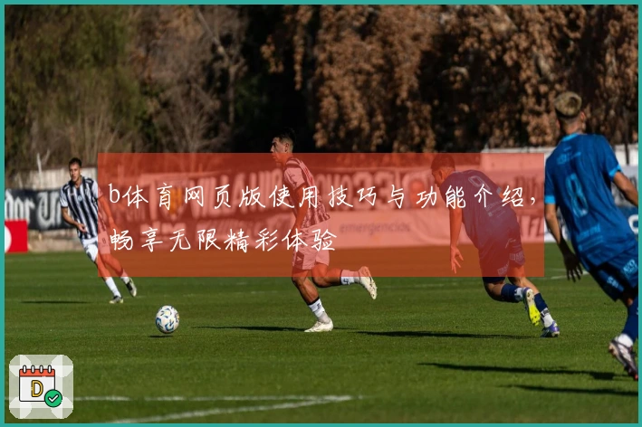 b体育网页版使用技巧与功能介绍，畅享无限精彩体验