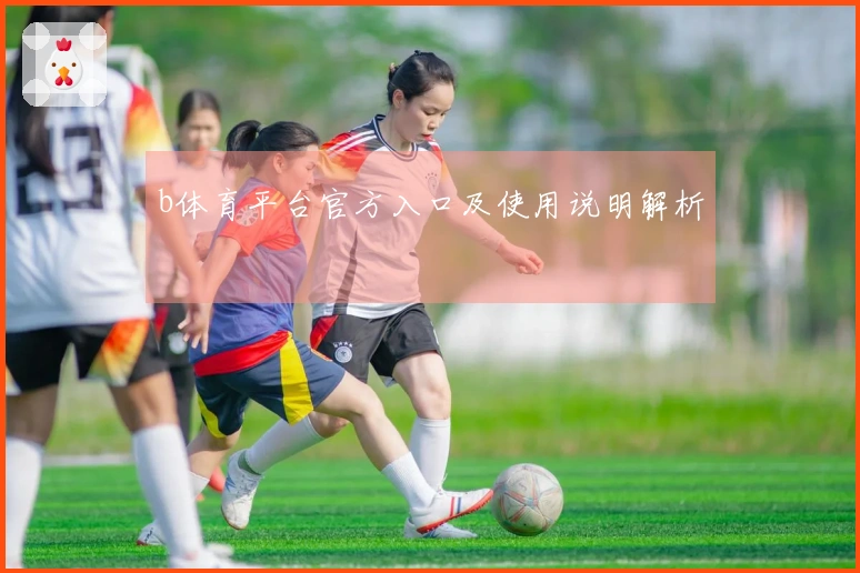 b体育平台官方入口及使用说明解析